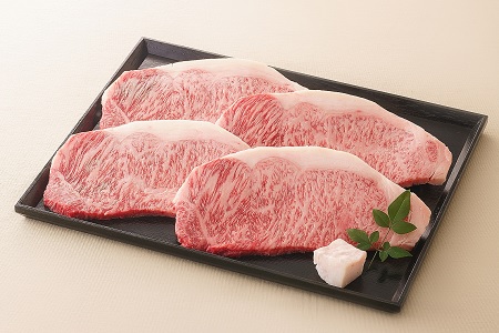 飛騨牛 サーロインステーキ サーロイン 肉 ×4枚（計720g）【59E1113】