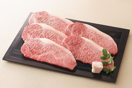 飛騨牛 サーロインステーキ サーロイン 肉 ×5枚（計850g）【59E1102】