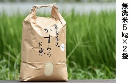 美濃加茂のお米 無洗米 5kg×2袋 | 春見ライス ハツシモ 米 お米 コメ M15S47