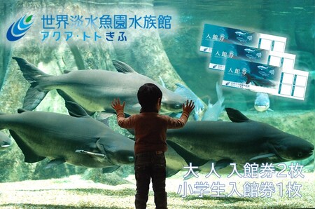 508 世界淡水魚園水族館　アクア・トトぎふ　入館券（大人2枚・小学生1枚）