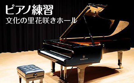 ピアノ練習  文化の里花咲きホール半日使用 [No.394]