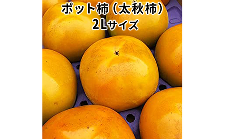 こだわり栽培ポット柿（太秋柿） 2Lサイズ12個入り