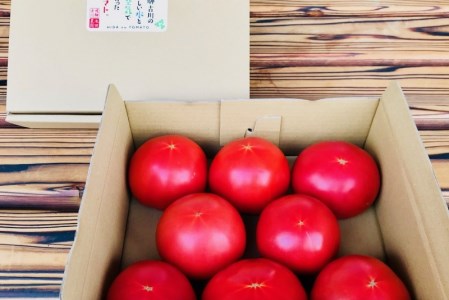 《期間限定・数量限定》朝採り発送！飛騨古川のおいしい水と空気で育った大玉トマト　1.5kg［A0038］ 