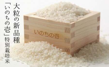 令和5年産 いのちの壱 3kg 6ヵ月 6回 定期便 特別栽培米 玄米対応可能 syun213[Q2380]