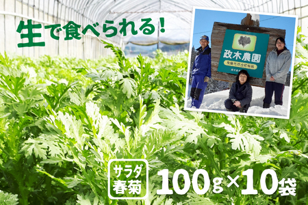 《事前予約制》《期間限定》サラダ春菊 100g × 7袋  計700g　政木農園　無農薬栽培[Q657]