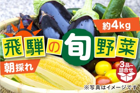 夏 野菜たっぷり詰め合わせ セット 3品以上 朝採れ 産地直送[Q1051rewx] syun128