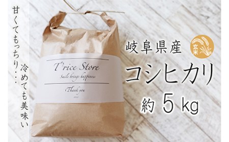 BE-5 T rice Store 岐阜県産コシヒカリ（玄米） 約5kg
