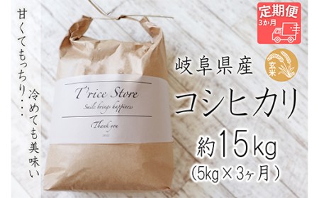 BE-7 T rice Store 岐阜県産コシヒカリ（玄米） 約15kg(5kg×3回）