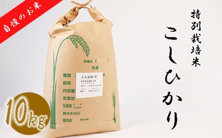 【特別栽培米】垂井町産コシヒカリ10kg