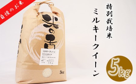 【特別栽培米】垂井町産ミルキークイーン5kg
