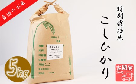 【3か月定期便】【特別栽培米】垂井町産コシヒカリ(5kg×3回）