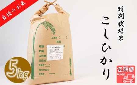 【6か月定期便】【特別栽培米】垂井町産コシヒカリ(5kg×6回）