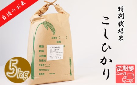【12か月定期便】【特別栽培米】垂井町産コシヒカリ(5kg×12回）