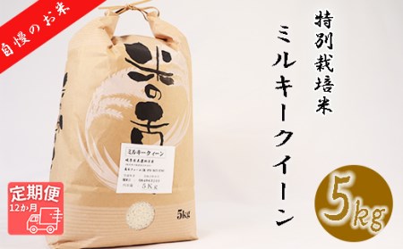 【12か月定期便】【特別栽培米】垂井町産ミルキークイーン(5kg×12回）
