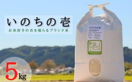 【特別栽培米】垂井町産いのちの壱5kg