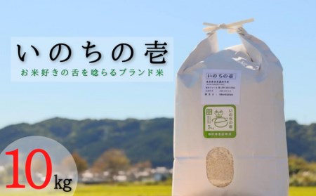 【特別栽培米】垂井町産いのちの壱10kg