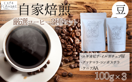 【自家焙煎】カフェ・フランドル厳選コーヒー3種セット（100g×3・豆）