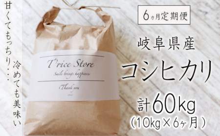 【６カ月定期便】岐阜県産コシヒカリ 10kg(合計６０kg)