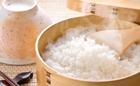揖斐郡産 味のいび米はつしも精米10kg×3袋