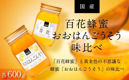 ☆味比べ☆国産 百花蜂蜜・おおはんごんそう蜂蜜（各600g×1本）