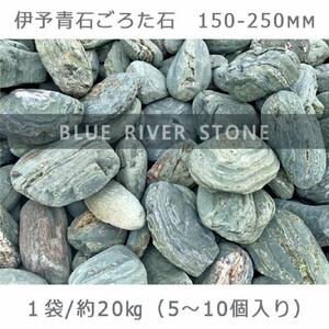庭石   伊予青石 ごろた石（150～250mm） 1袋（約20kg）ゴロタ石 自然石 川石