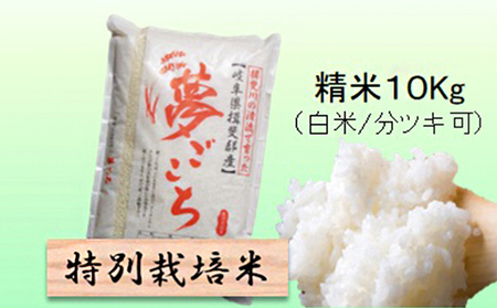 特別栽培米★精米10kg（白米/5分/7分ツキ可）【夢ごこち】 玄米は別に出品 白米