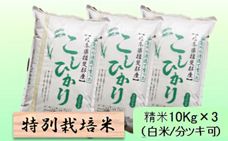 特別栽培米★精米30kg（白米/5分/7分ツキ可）【コシヒカリ】 玄米は別に出品 白米