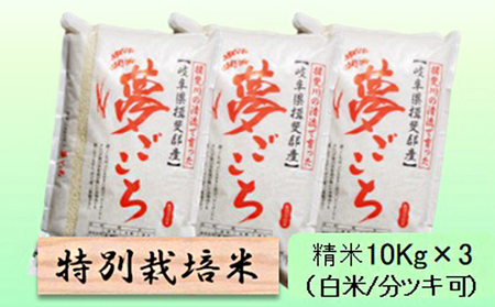 特別栽培米★精米30kg（白米/5分/7分ツキ可）【夢ごこち】 玄米は別に出品 白米