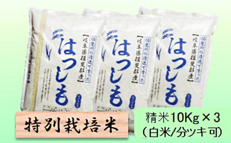 特別栽培米★精米30kg（白米/5分/7分ツキ可）【ハツシモ】 玄米は別に出品 白米