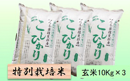 特別栽培米★玄米30kg【コシヒカリ】10Kg×3