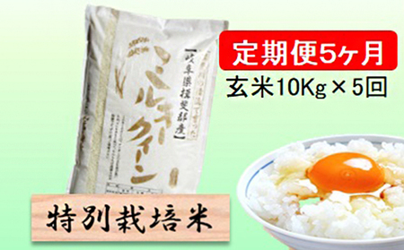 特別栽培米★[定期便] 5カ月★毎月 玄米10kg【ミルキークイーン】