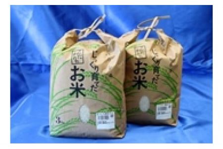 【17034】富加町のお米『コシヒカリ・ハツシモ』（精米 ）各３kg