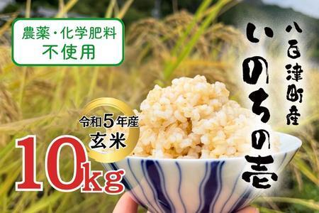 【令和5年産】農薬・化学肥料不使用　オータニ農業の『いのちの壱』玄米10kg