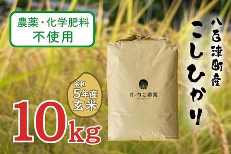 【令和5年産】農薬・化学肥料不使用　オータニ農業の『コシヒカリ』玄米10kg