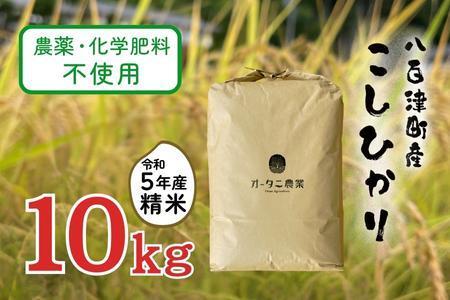 【令和5年産】農薬・化学肥料不使用　オータニ農業の『コシヒカリ』精米10kg