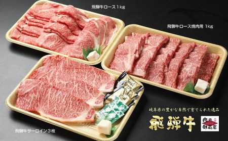 【冷蔵配送】飛騨牛食べ比べセット　2回　A4～A5・焼肉・しゃぶしゃぶ・すき焼き・牛肉