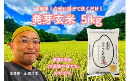 農家直送『山ちゃんの発芽玄米』5kg