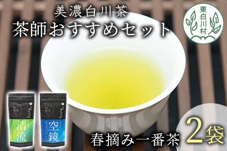 茶蔵園厳選 茶師のおすすめセット 2袋入 お茶 日本茶 緑茶 煎茶 春摘み一番茶 一番茶 9000円