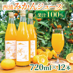 【価格改定予定】果汁100％ みかんジュース 720ml×12本 西浦
