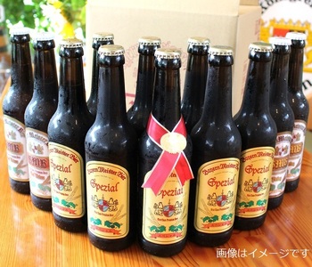 0033-35-01　富士山の水を使った地ビール　バイエルンマイスタービール　12本セット