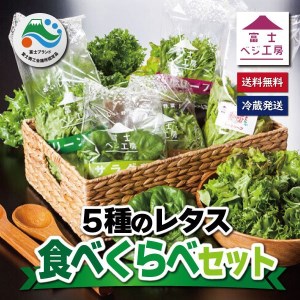 富士山の伏流水で農薬を使わず育てた新鮮レタス5種類×2株セット（1517）