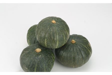 かぼちゃ（粉質系）5～6玉　10kg【AC-012】