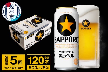 T0037-2005　【定期便 5回】ビール 黒ラベル サッポロ 500ml【定期便】