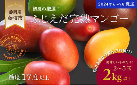 【2024年6月～7月発送】マンゴー 完熟 2kg 糖度 17 以上 (厳選 フルーツ 果物 国産マンゴー 静岡マンゴー 完熟マンゴー マンゴーフルーツ トロピカルフルーツ フルーツ 果物類 果物類 マンゴー果物類)