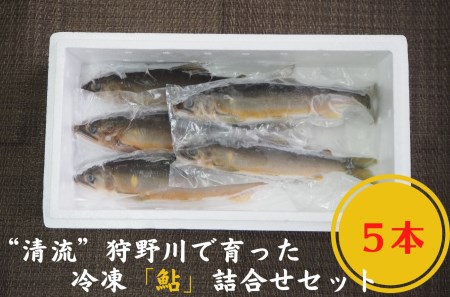 ”清流”狩野川で育った冷凍「鮎」５本詰合せセット