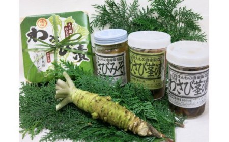 SAKURAI FARM 季節の旬野菜セット ／ 詰め合わせ 採れたて サラダ 千葉県 特産品