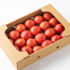 愛知県半田市産ファーストトマト　一箱3キロ以上【1456394】