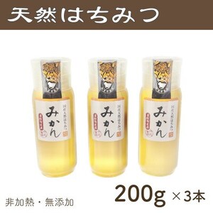 竹内養蜂の蜂蜜1種(みかん3本) 各200g プラスチック便利容器【1488839】