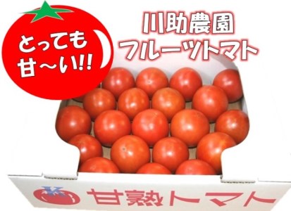 【2023年3月～6月発送分 先行予約】とっても甘～い！川助農園のフルーツトマト1.5kg以上（最大糖度15.3度！！）