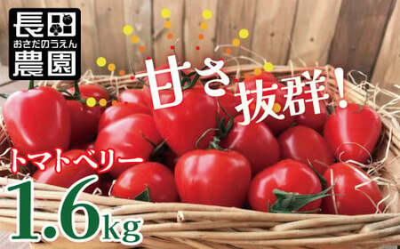甘さ抜群!トマト嫌いでも食べられるトマトベリー 1.6kg　H004-073